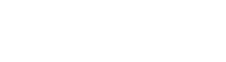 软盛思通